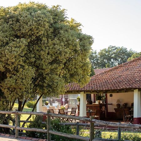 Herdade Das Barradas Da Serra Grândola Εξωτερικό φωτογραφία