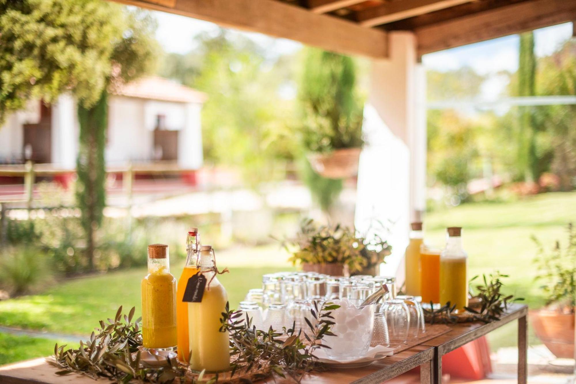 Herdade Das Barradas Da Serra Βίλα Grândola Εξωτερικό φωτογραφία