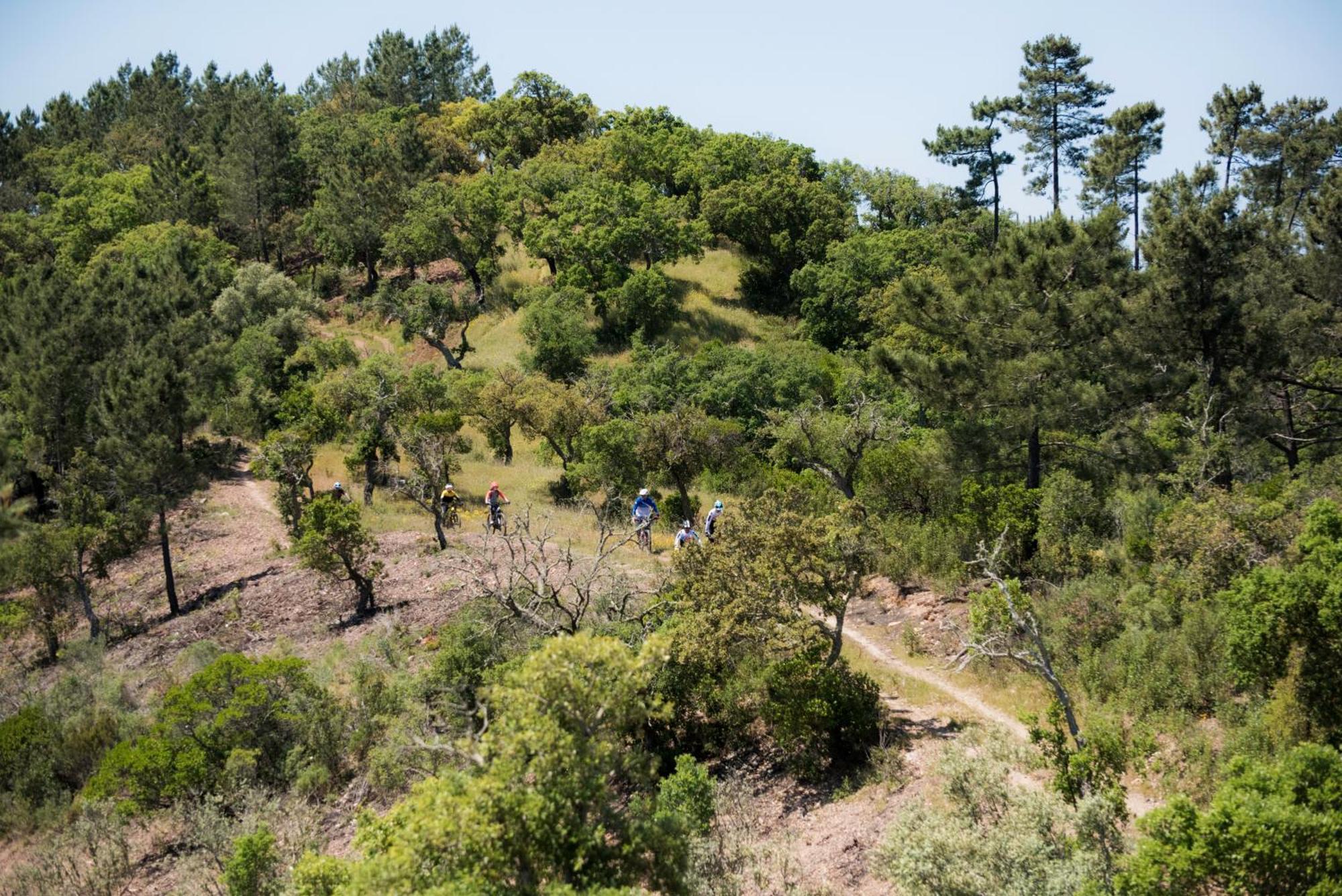 Herdade Das Barradas Da Serra Βίλα Grândola Εξωτερικό φωτογραφία