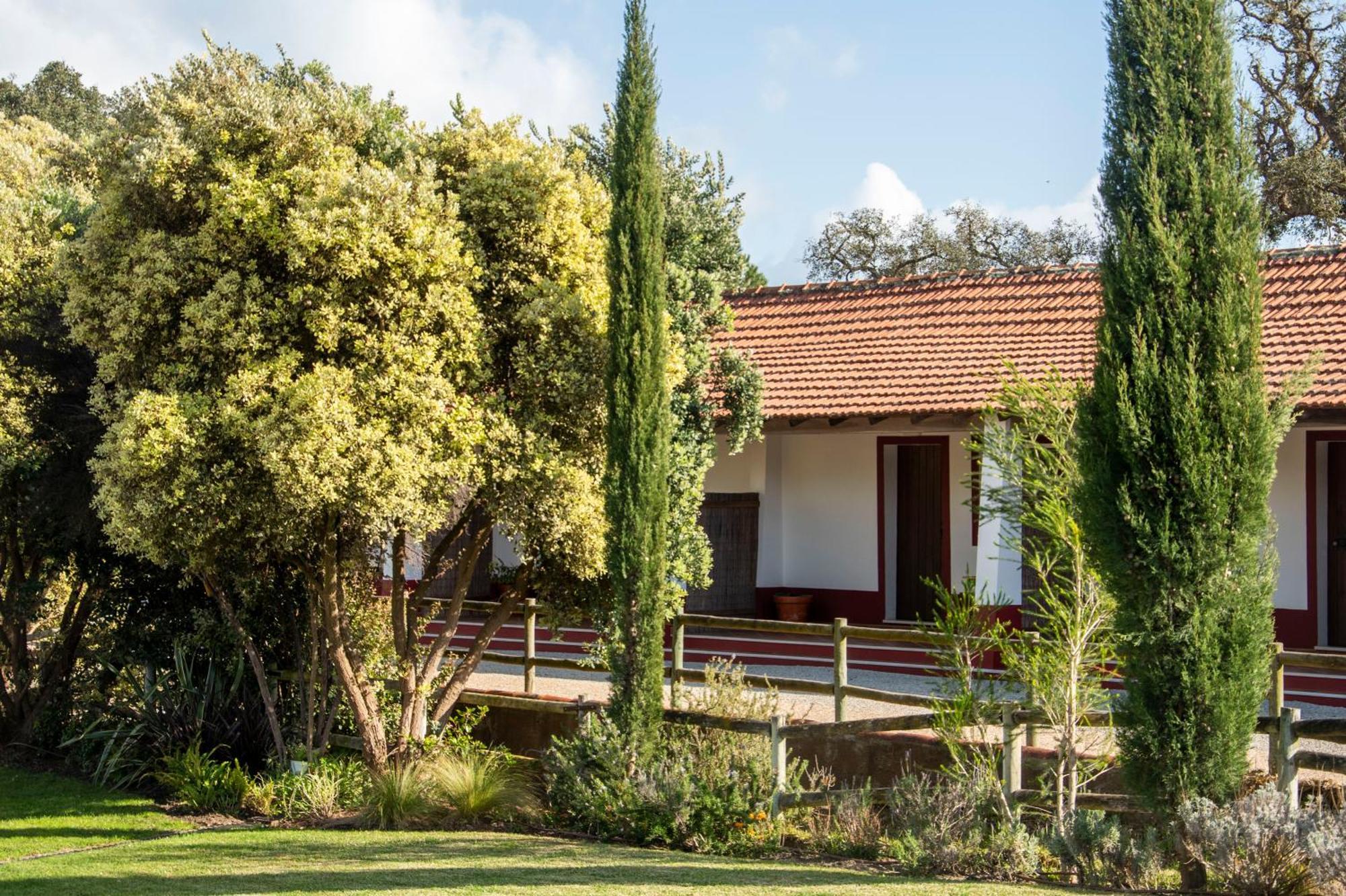 Herdade Das Barradas Da Serra Βίλα Grândola Εξωτερικό φωτογραφία