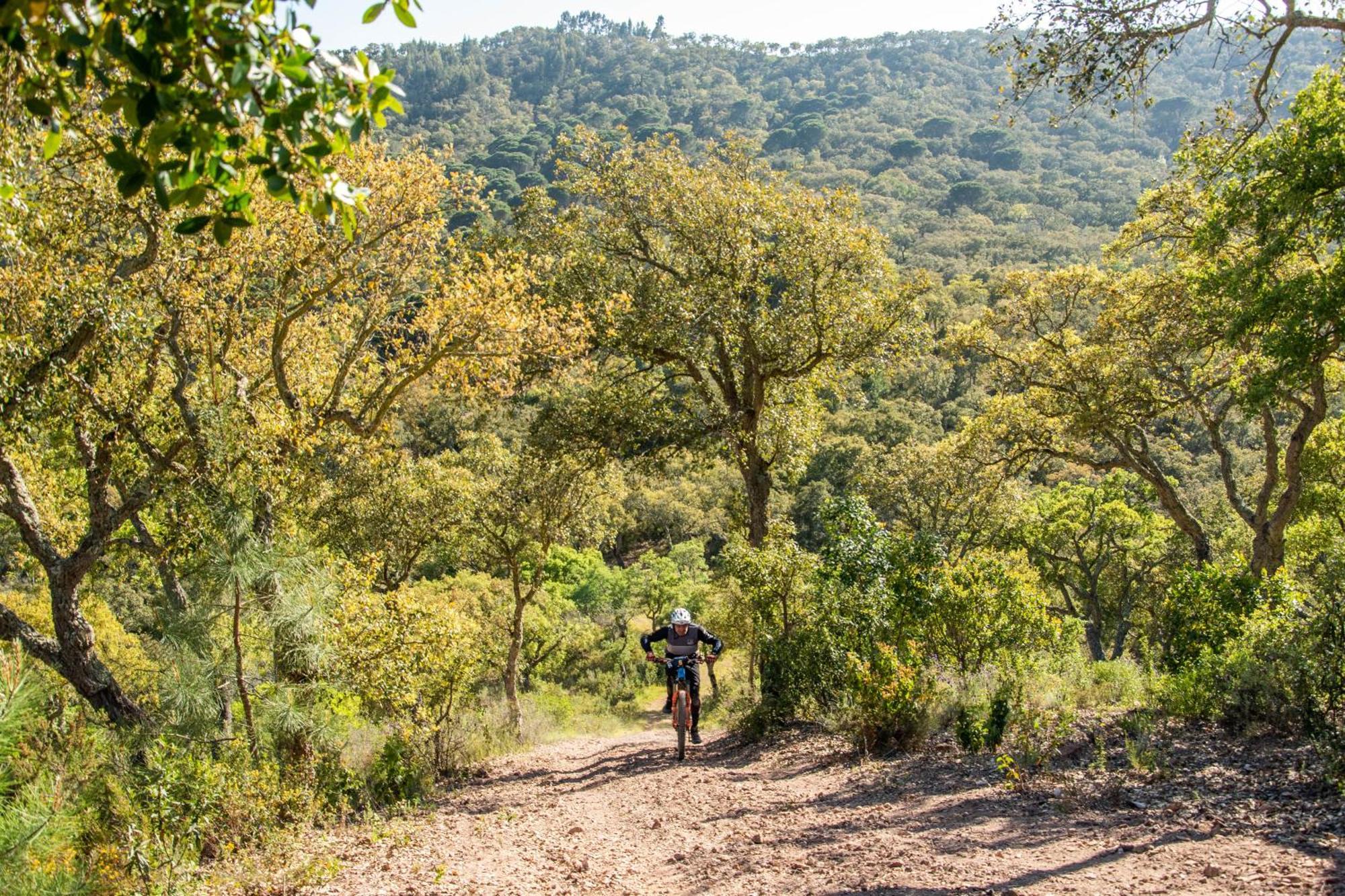 Herdade Das Barradas Da Serra Βίλα Grândola Εξωτερικό φωτογραφία