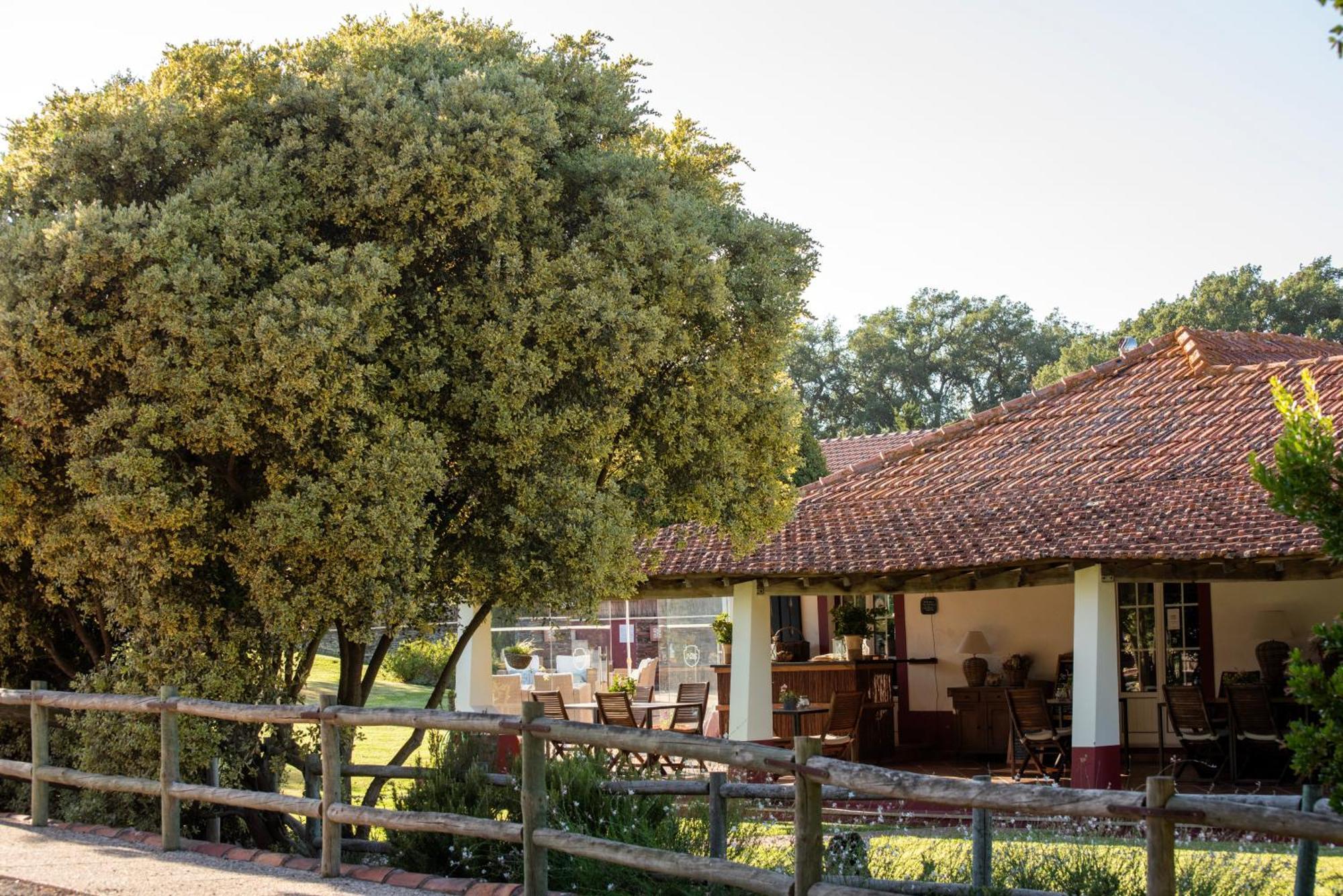 Herdade Das Barradas Da Serra Βίλα Grândola Εξωτερικό φωτογραφία