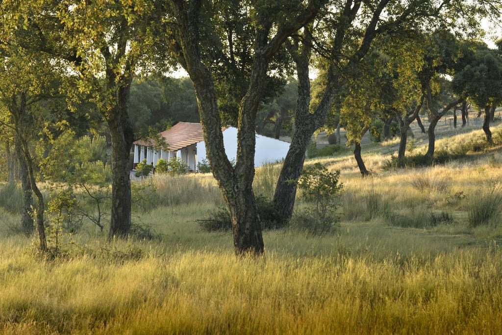 Herdade Das Barradas Da Serra Βίλα Grândola Εξωτερικό φωτογραφία