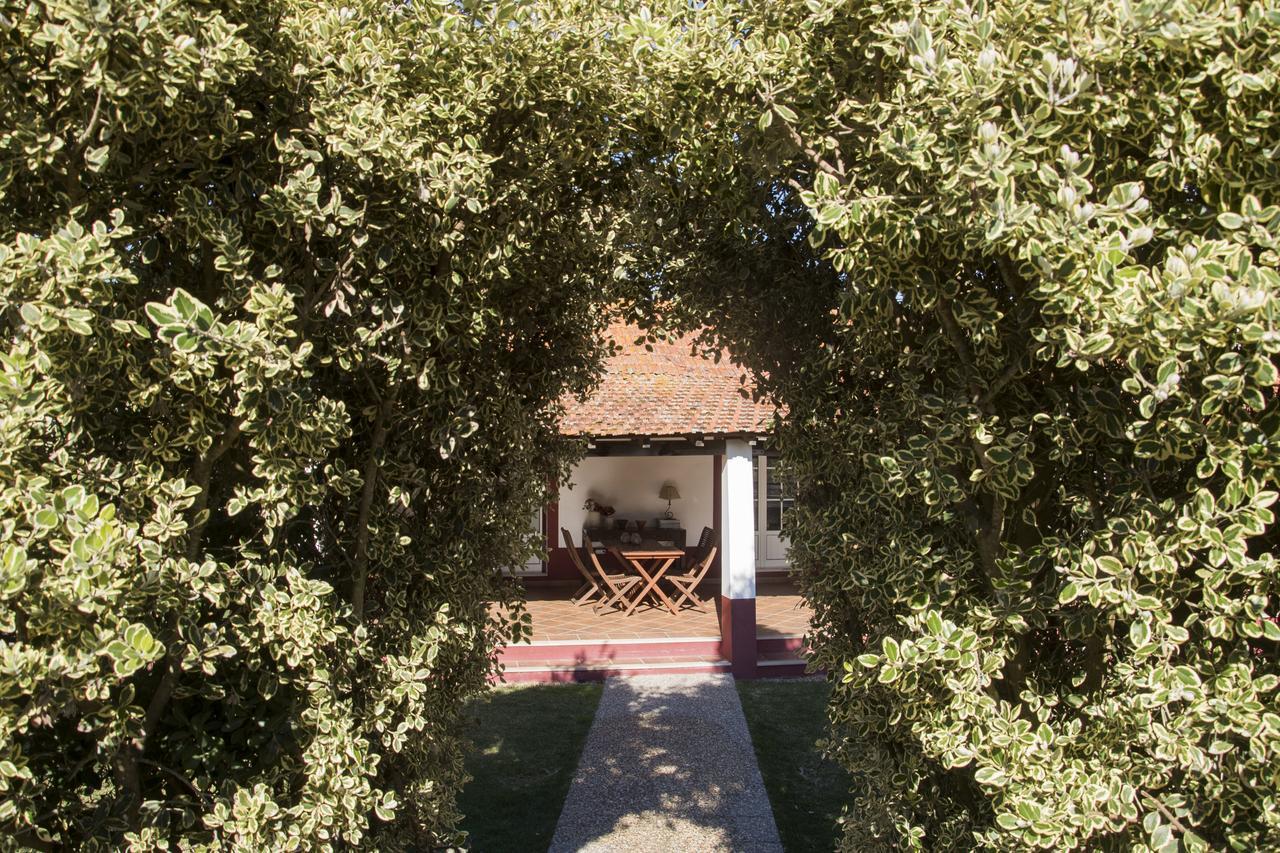 Herdade Das Barradas Da Serra Grândola Εξωτερικό φωτογραφία