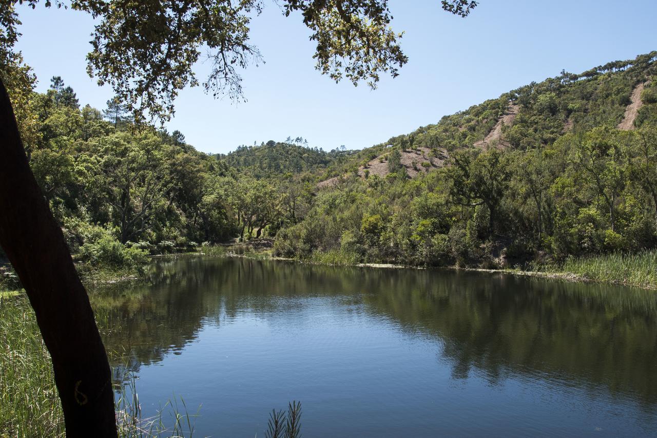 Herdade Das Barradas Da Serra Grândola Εξωτερικό φωτογραφία