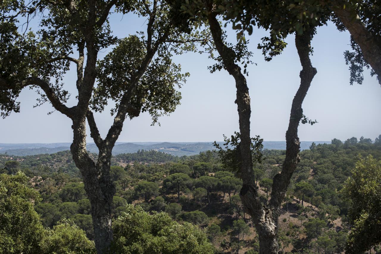 Herdade Das Barradas Da Serra Grândola Εξωτερικό φωτογραφία